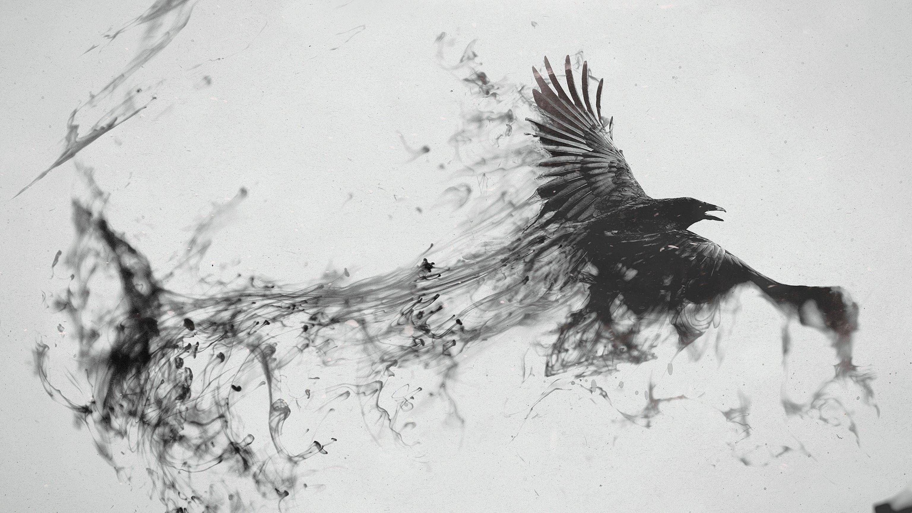 3840x2160 Black Raven Smoke Drawing Wallpaper and Free