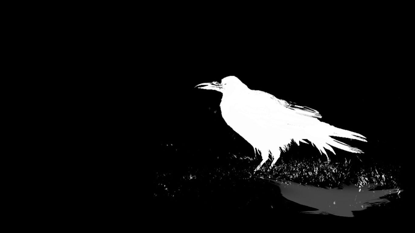 1366x768 Raven Background
