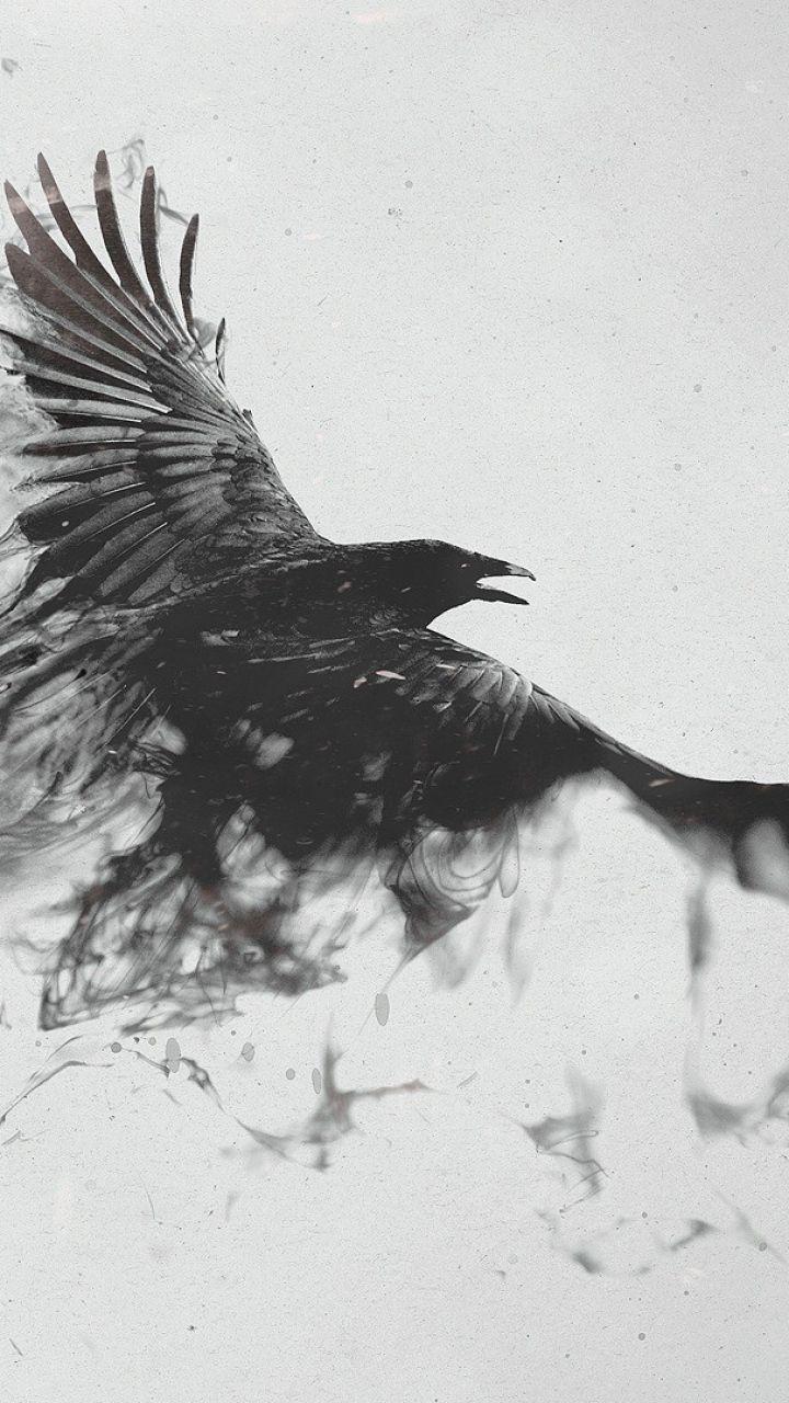 720x1280 Wallpaper raven, bird, flying, smoke, black white. Raven tattoo, Crow tattoo, Smoke art