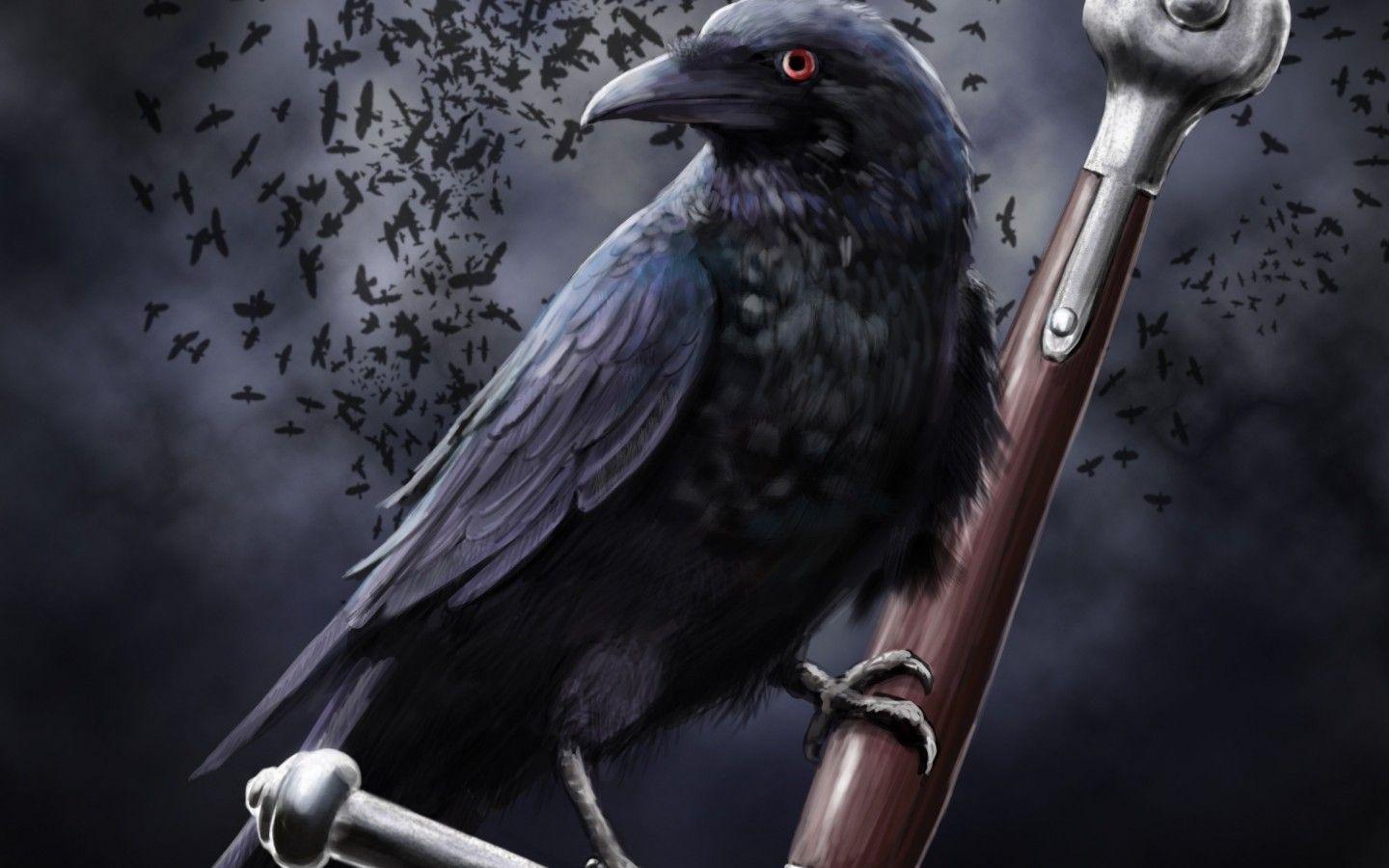 1440x900 Ravens Crows, Dark, Black Birds, Desktop Wallpaper :