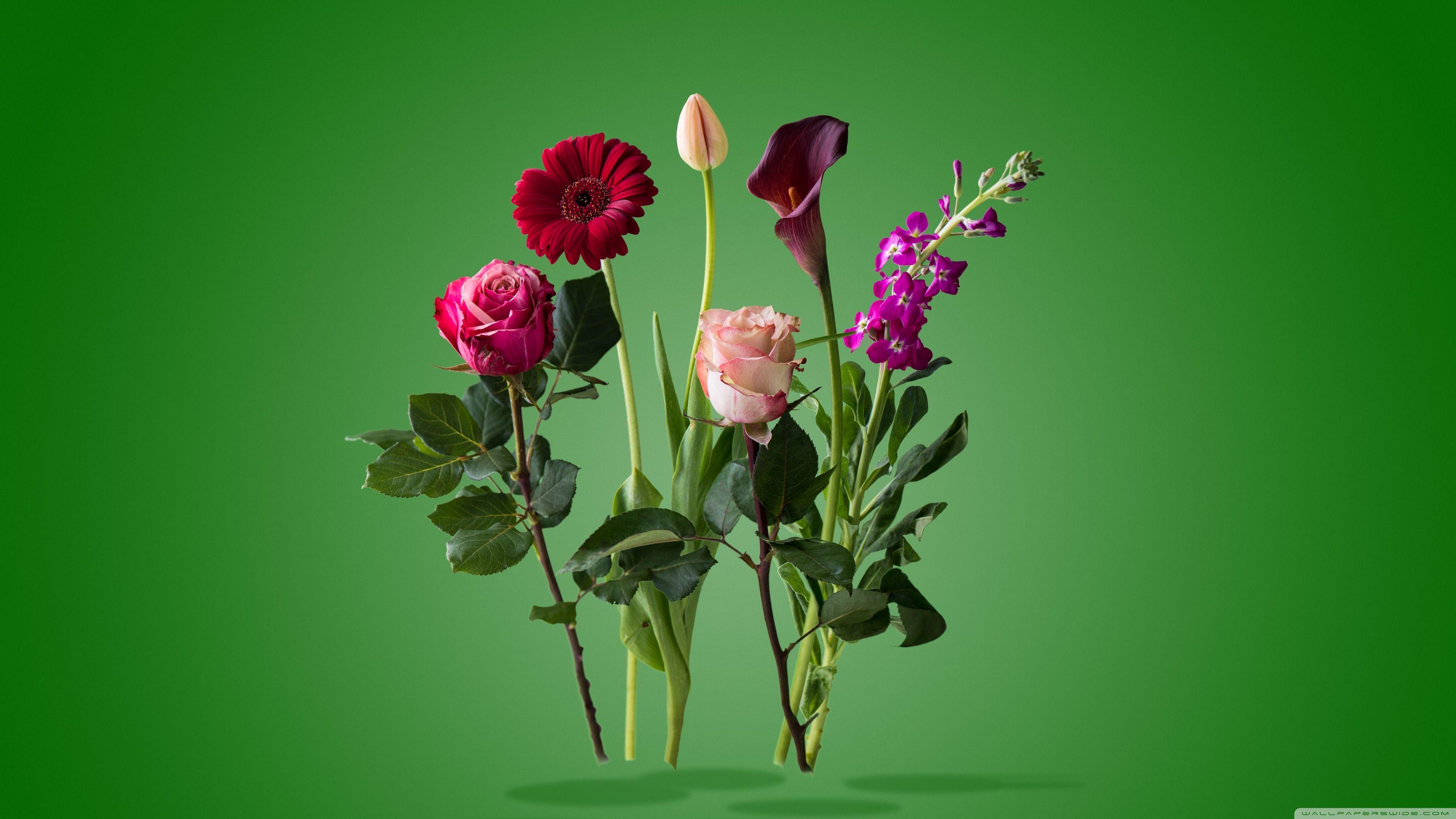 3554x1999 Flowers Art Design Ultra HD Desktop Background Wallpaper for 4K UHD TV : Widescreen & UltraWide Desktop & Laptop : Tablet