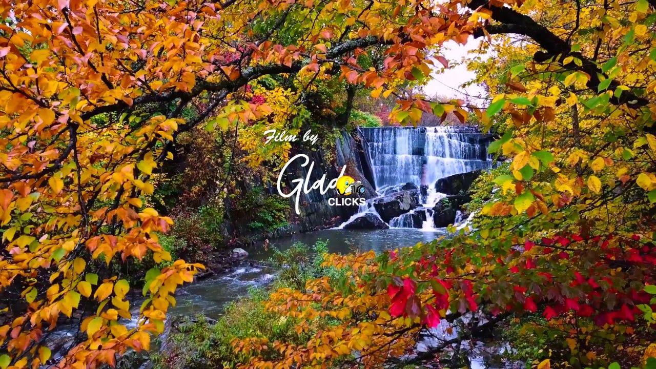 1280x720 Vermont Fall Foliage 2017