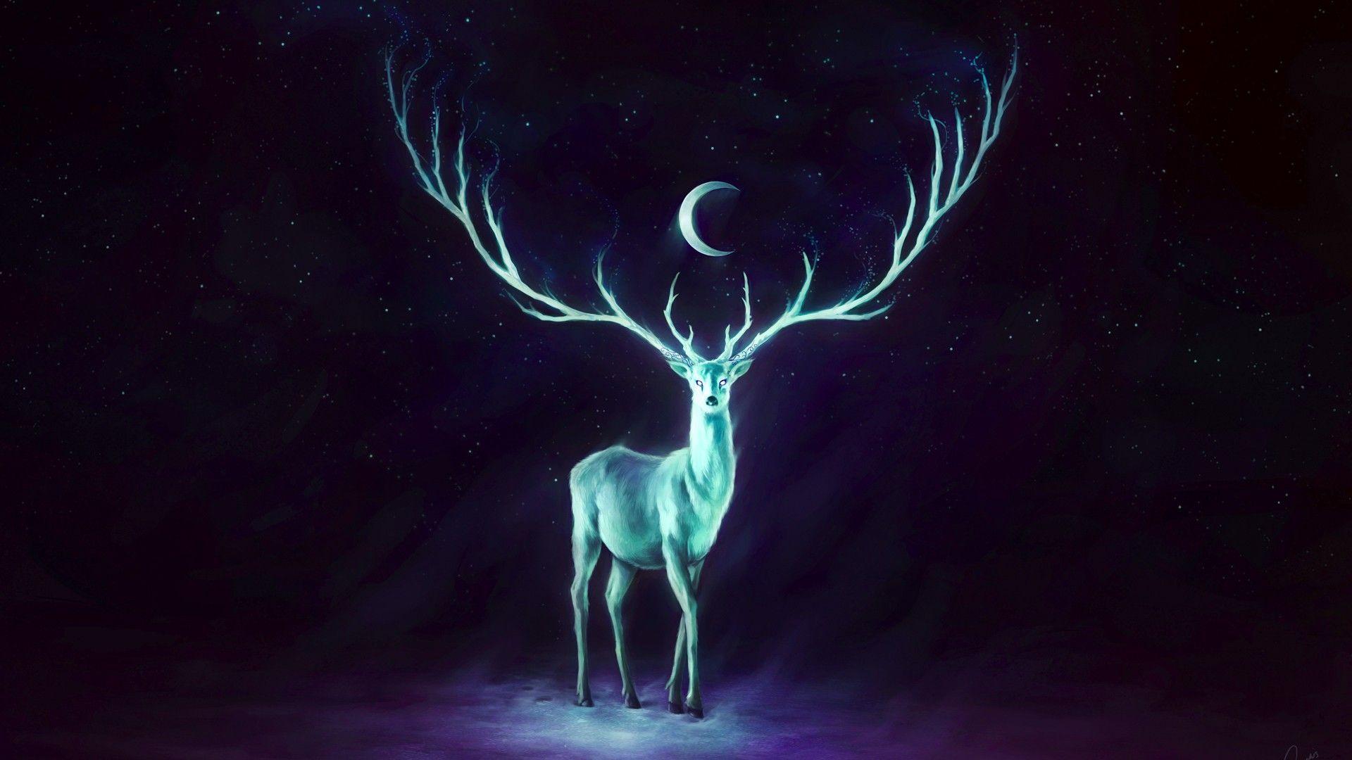 1920x1080 Beauty Art HD Wallpaper Desktop. Arts Wallpaper. Moon artwork, Fantasy art, Art