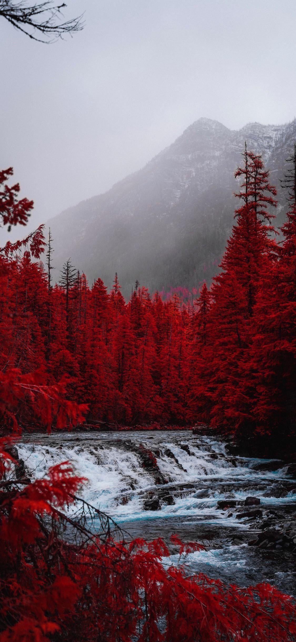 1125x2436 Stunning Red Trees by Rapids Vermont Phone Wallpaper