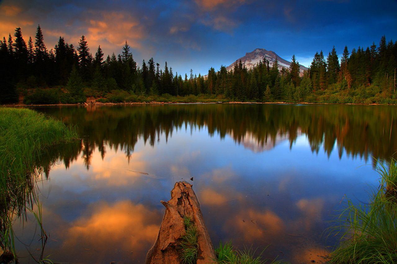 1280x853 Photos USA Mt Hood National Oregon Nature Lake forest landscape