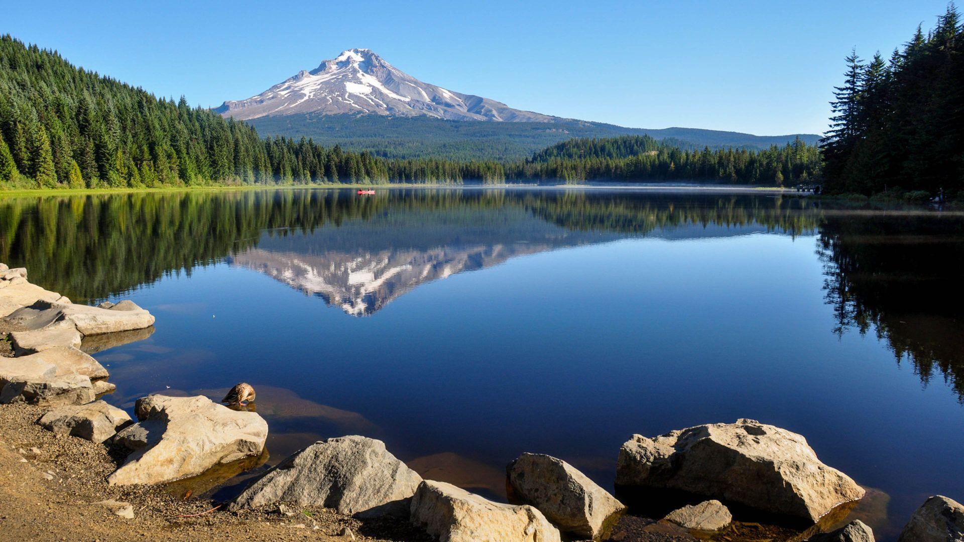 1920x1080 Government Camp Oregon United States Trillium Lake And The Mountain Hood Early Morning Desktop HD Wallpaper For Mobile Phones And Computer :
