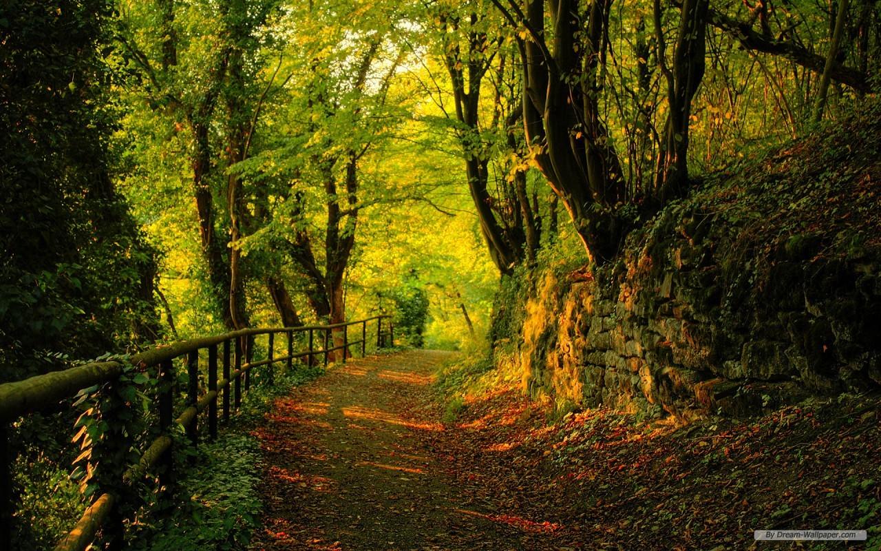 1280x800 O112548 1280x800 Nature Wallpaper 1280x800