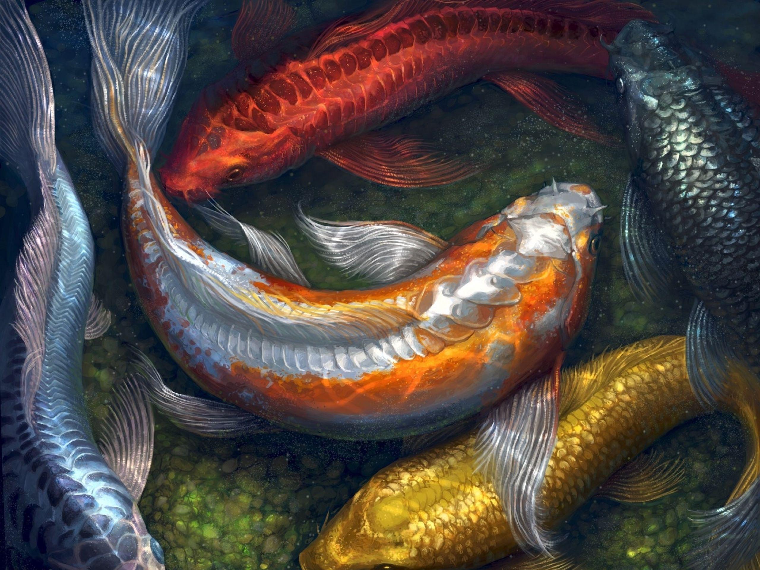 Fish Art Wallpapers - Top Free Fish Art Backgrounds - WallpaperAccess Fish Art Wallpapers - Top Free Fish Art Backgrounds - WallpaperAccess