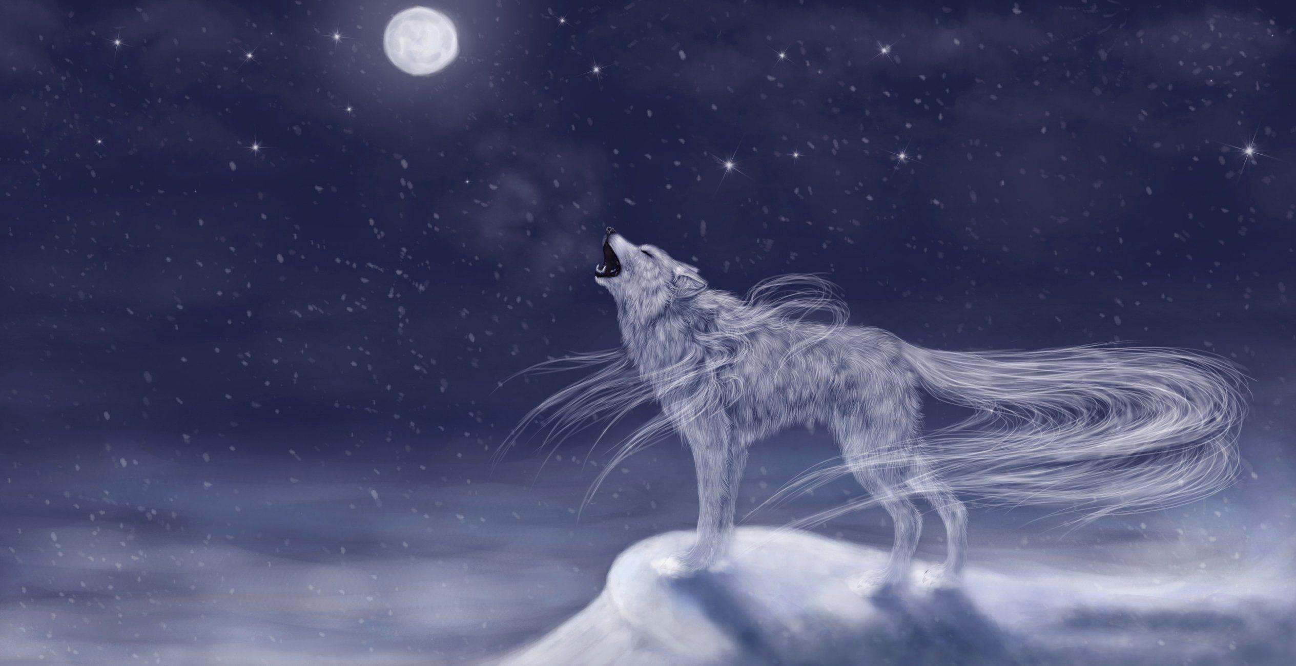 2529x1300 Magical animals Wolves Moon Fantasy wolf dream mood wallpaperx1300