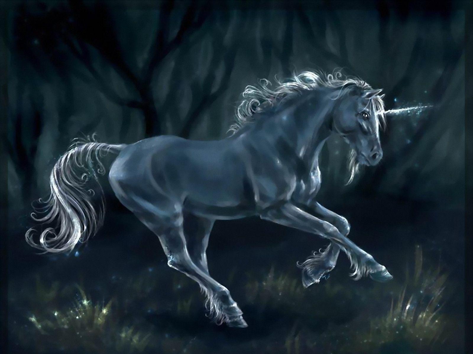 1600x1200 unicorn, Horse, Magical, Animal, Rw Wallpaper HD / Desktop and Mobile Background