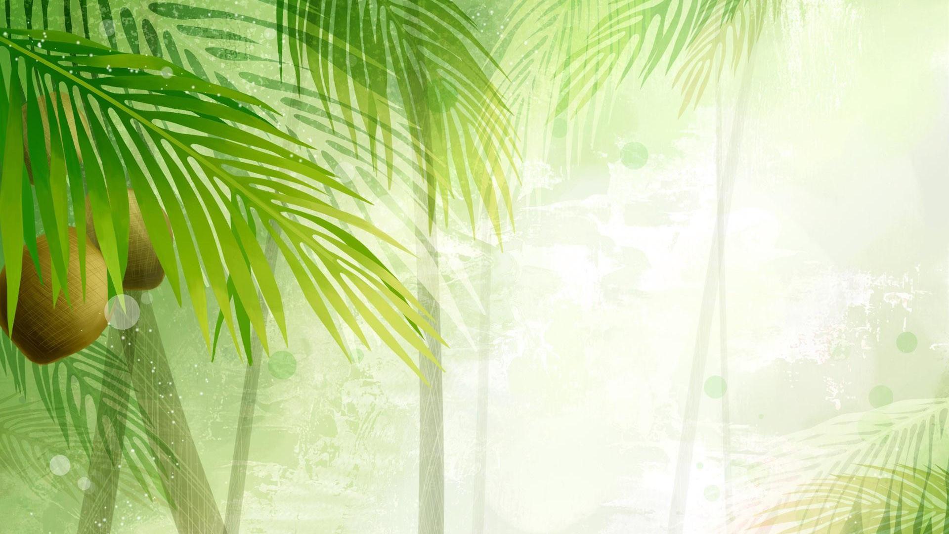 Coconut Leaf Wallpapers - Top Free Coconut Leaf Backgrounds