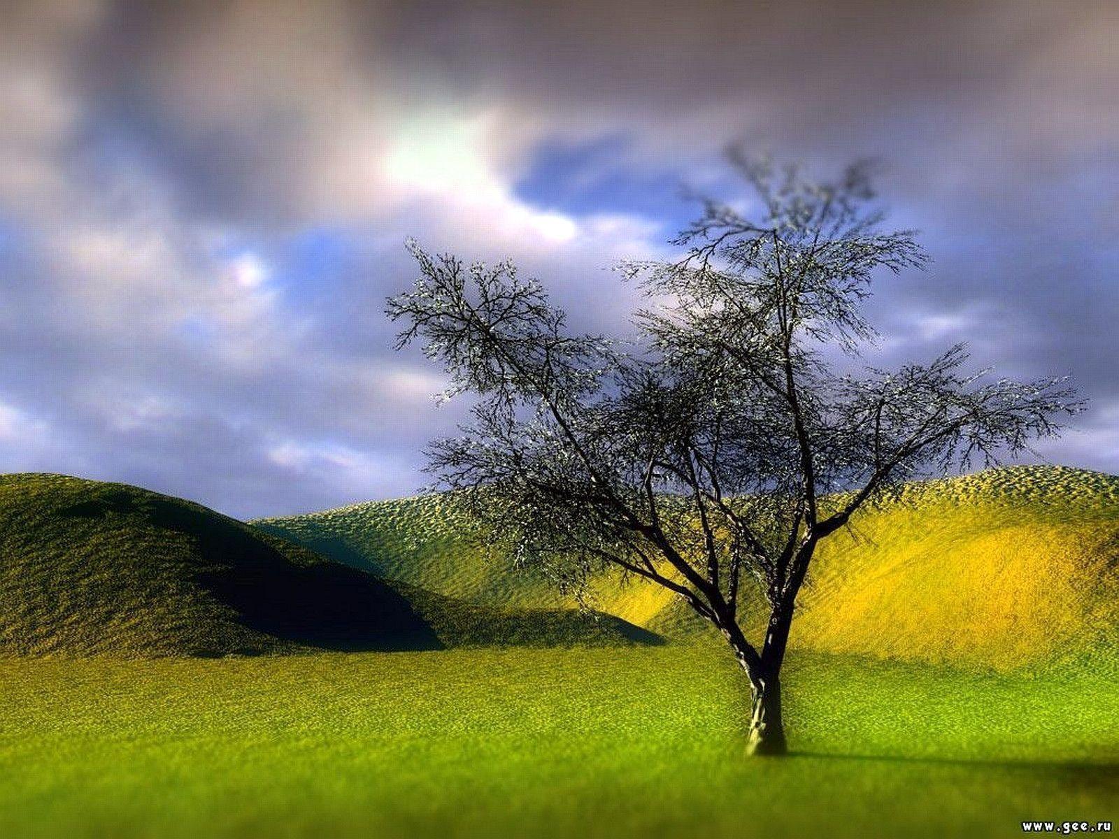 1600x1200 Beautifulest 3D Wallpaper For Desktop