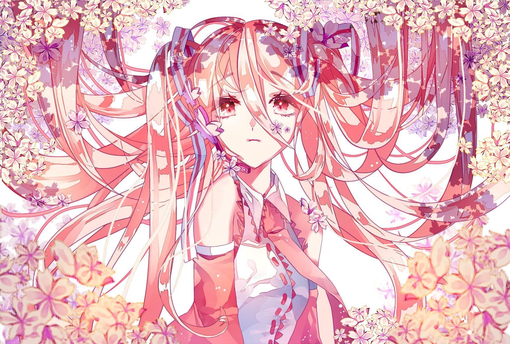 1748x1181 Anime #Vocaloid Sakura Miku P #wallpaper #hdwallpaper #desktop. Hatsune miku, Miku, Hatsune