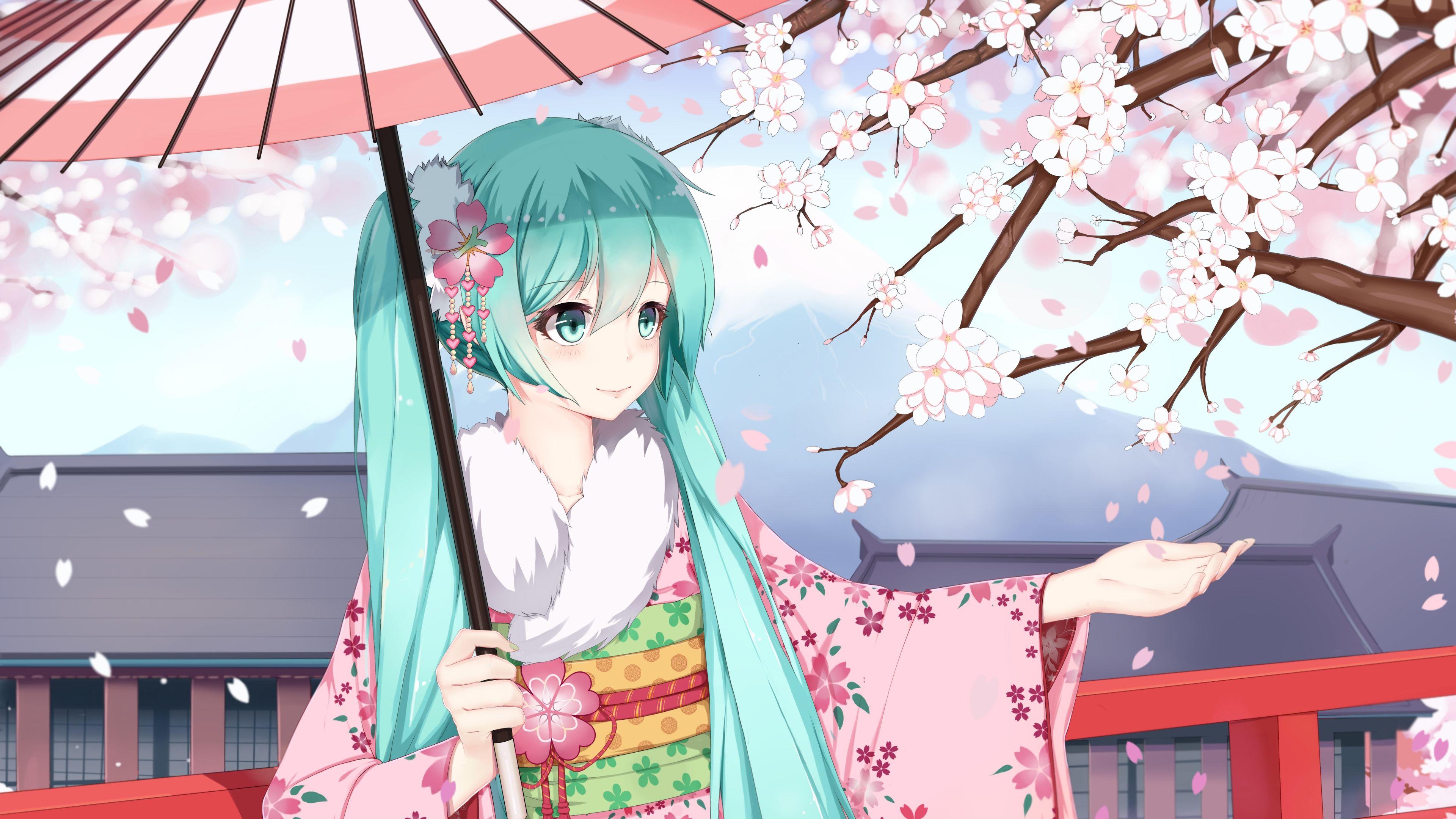 3840x2160 Sugar Sound Vocaloid Hatsune Miku Girl Kimono Sakura Sugar Sound Vocaloid Hatsune Miku Girl Kimono Sakura is an HD desktop wallpa. Anime, Hatsune miku, Hình ảnh