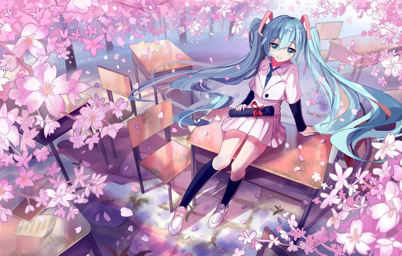 1332x850 Wallpaper chairs, Sakura, knee, vocaloid, Hatsune Miku, flowering, school uniform, Vocaloid, blue hair, art, desks, diploma, Siji image for desktop, section арт