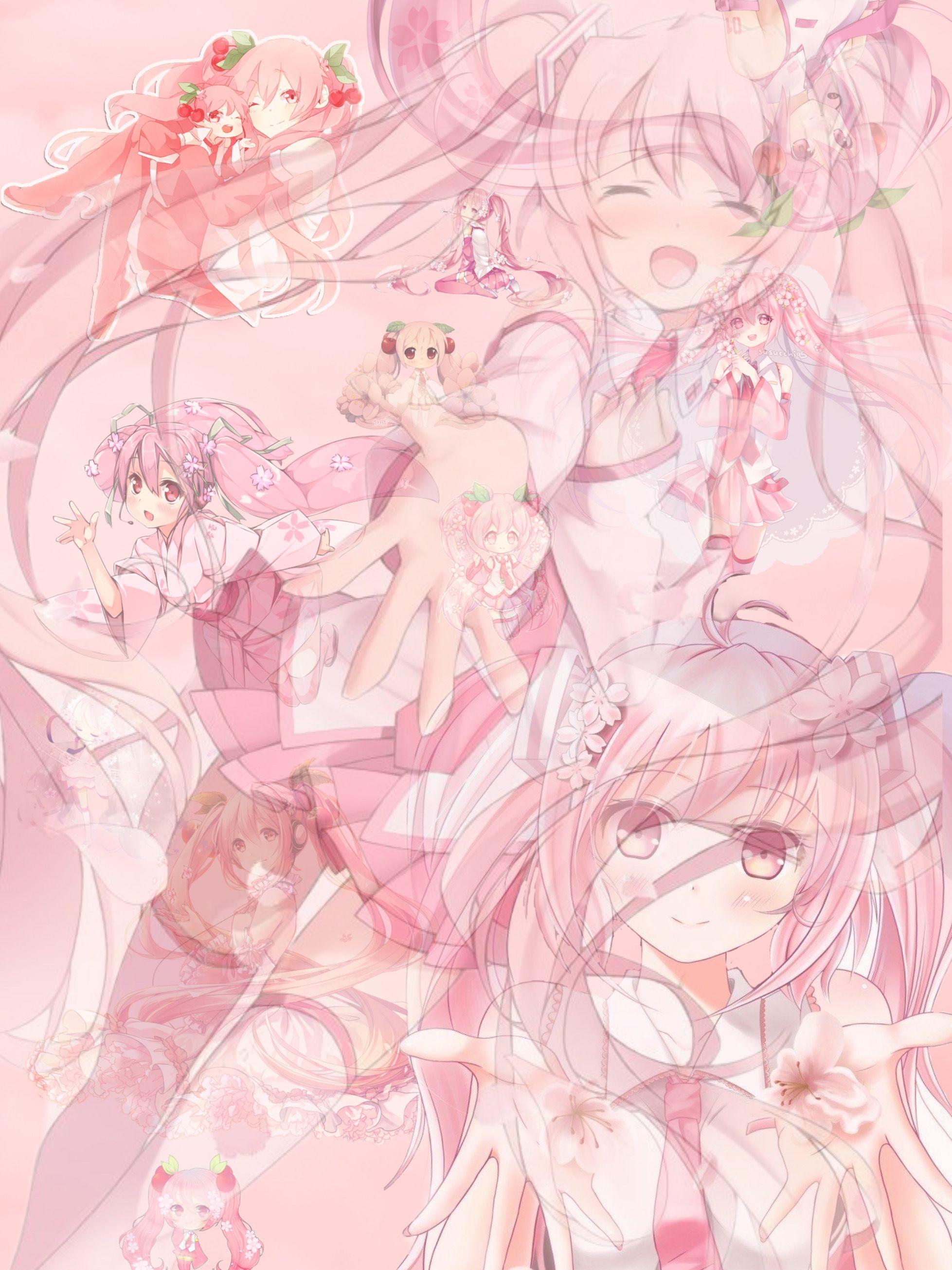 1957x2610 miku sakura sakuramiku Image