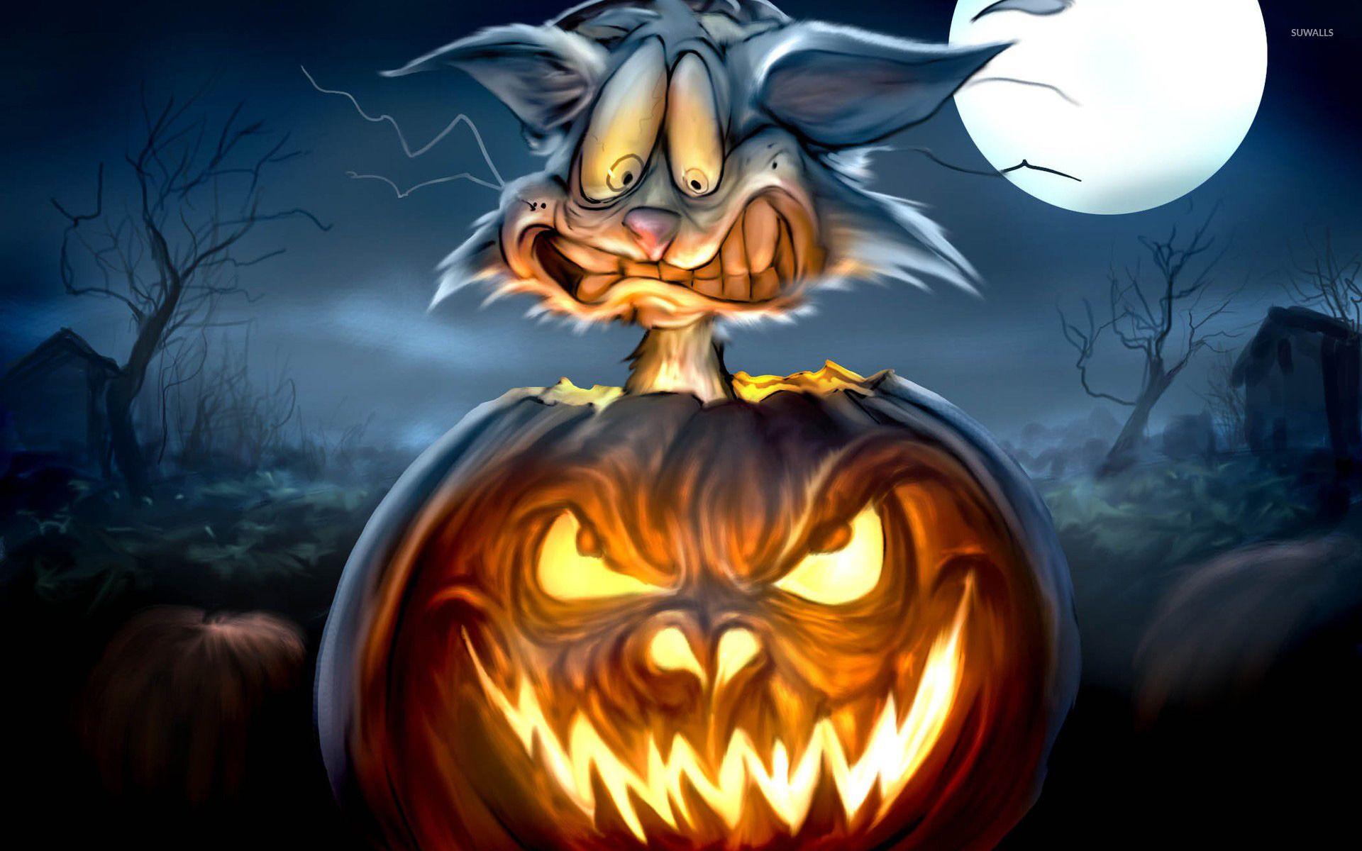 1920x1200 Scared Cat In A Jack O' Lantern Wallpaper Wallpaper