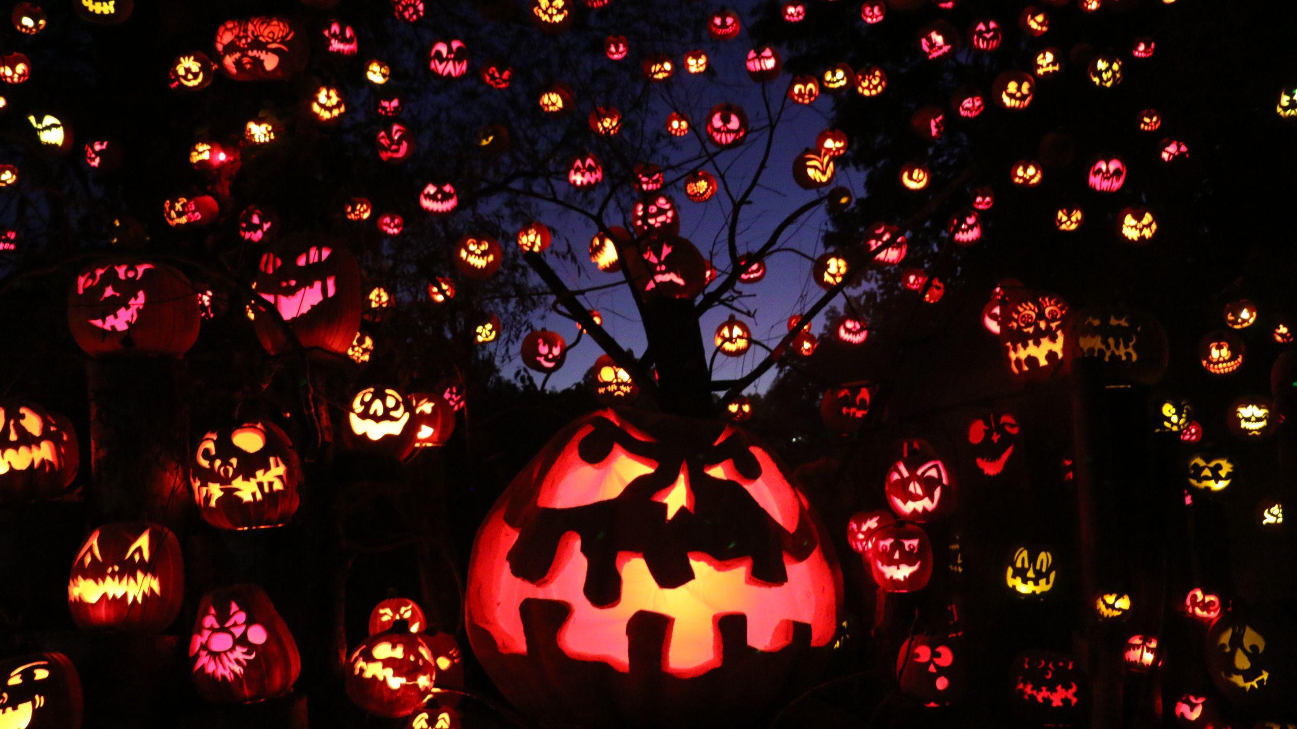 2560x1440 Jack O Lantern Spectacular Will Be Held As Drive Thru Event This Year