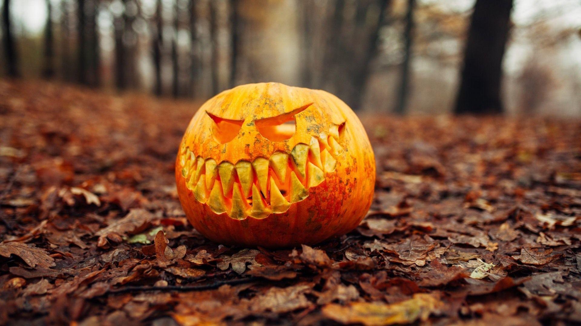 1920x1080 Halloween Jack O Lantern Pumpkin Wallpaper 45620