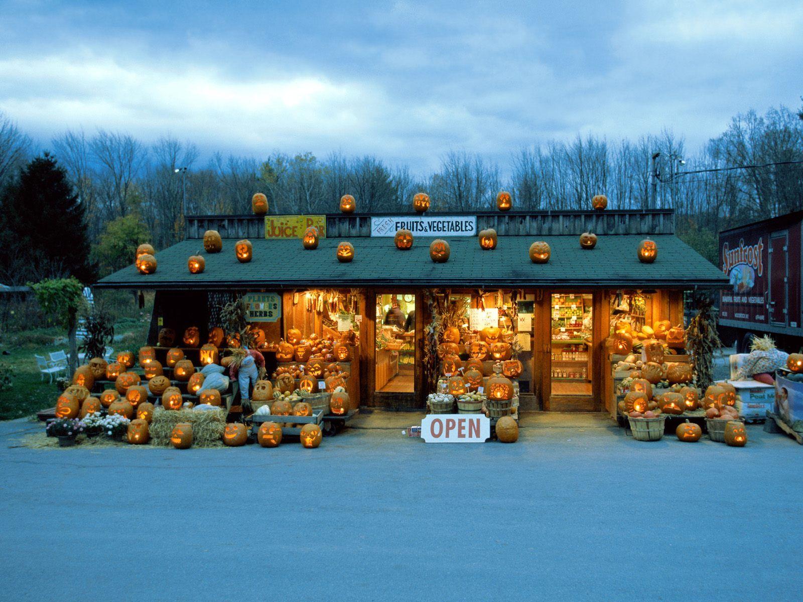 1600x1200 Jack O Lantern Stand