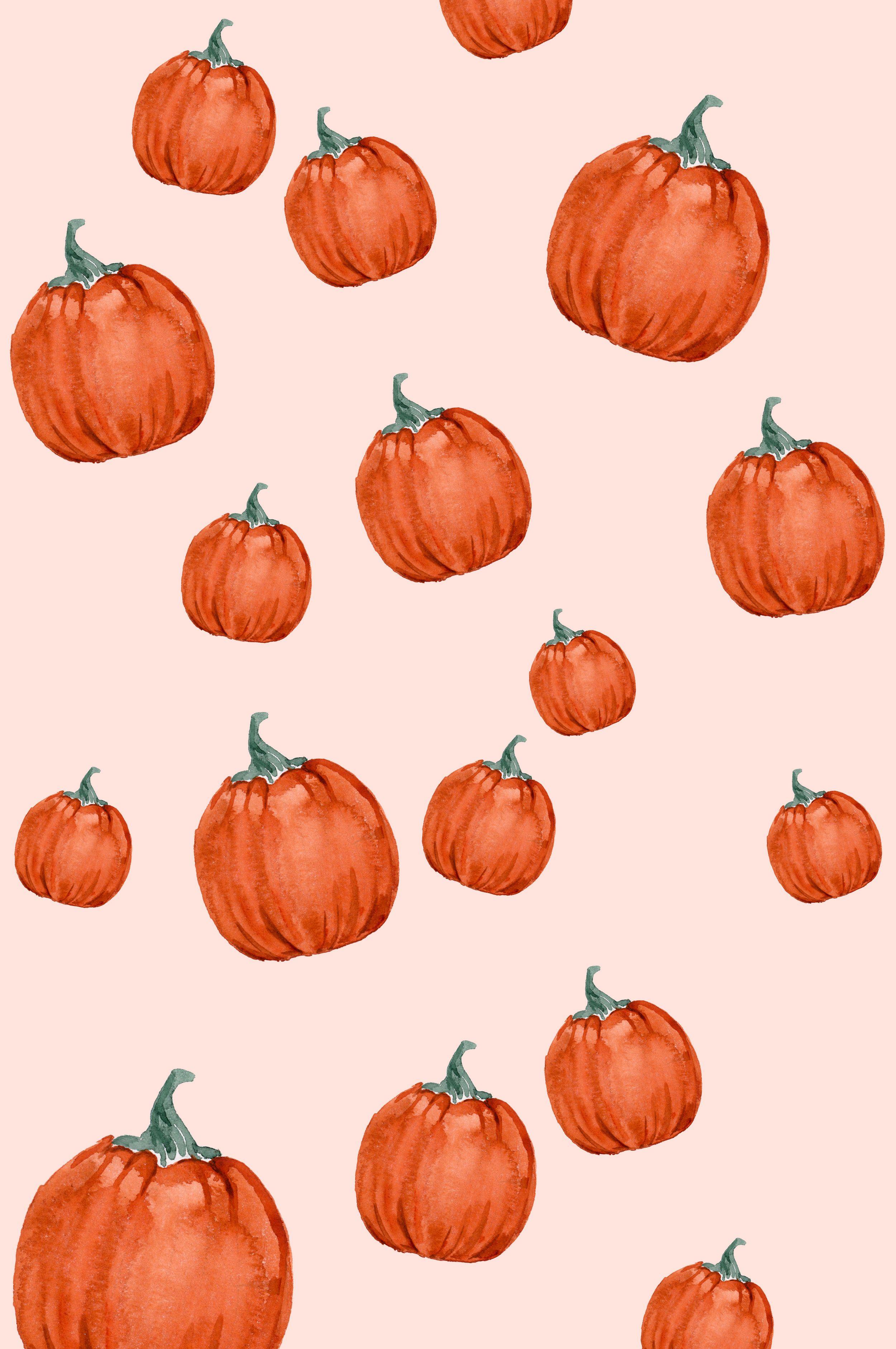 Pumpkin and Peony pink peach and white Fabric  Pumpkin wallpaper Pink  pumpkins Glitter wallpaper