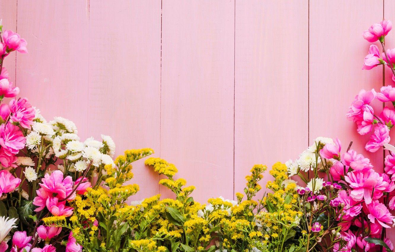 1332x850 Spring Flower Wallpaper Background