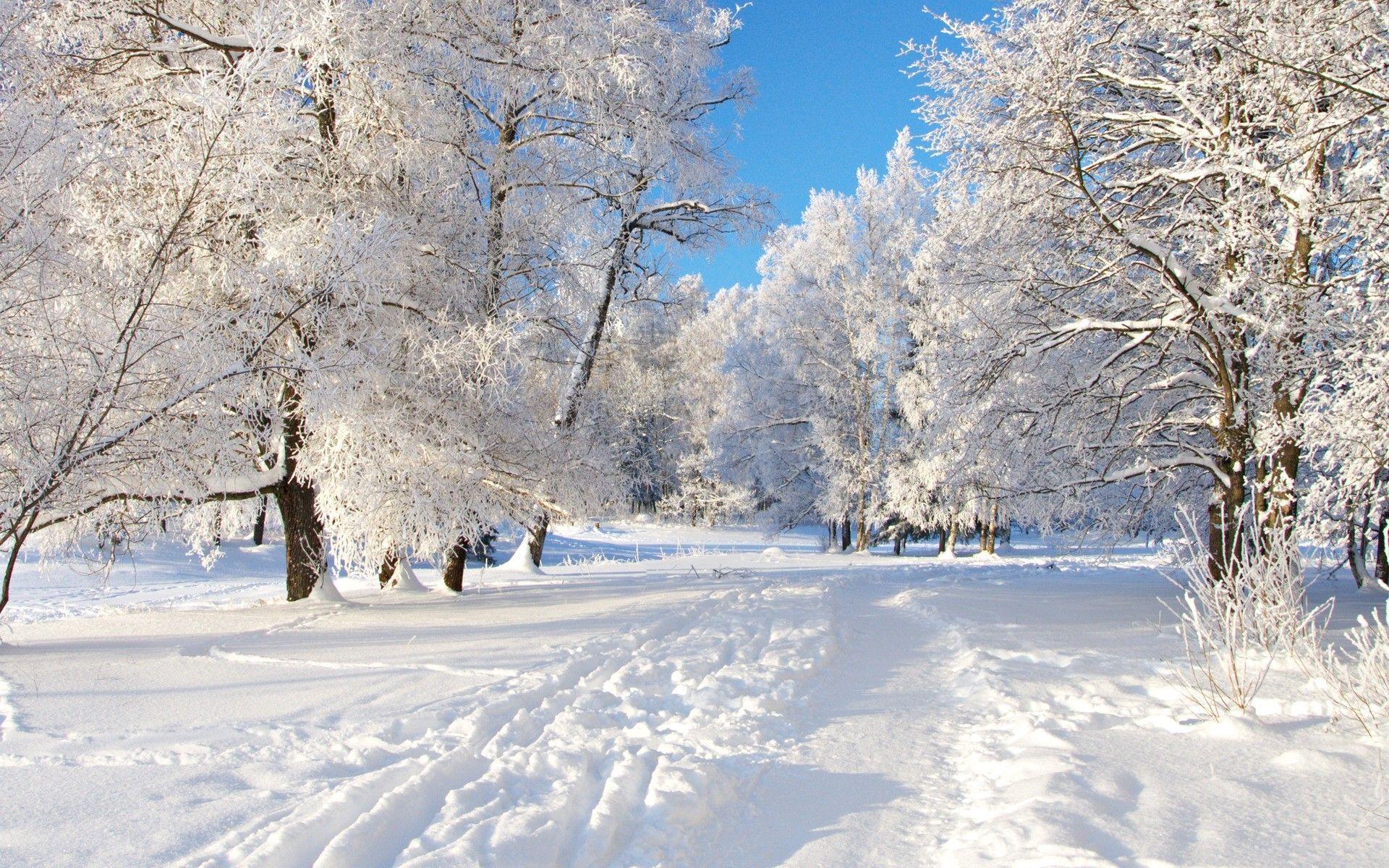 1920x1200 Winter Snow Wallpaper Background