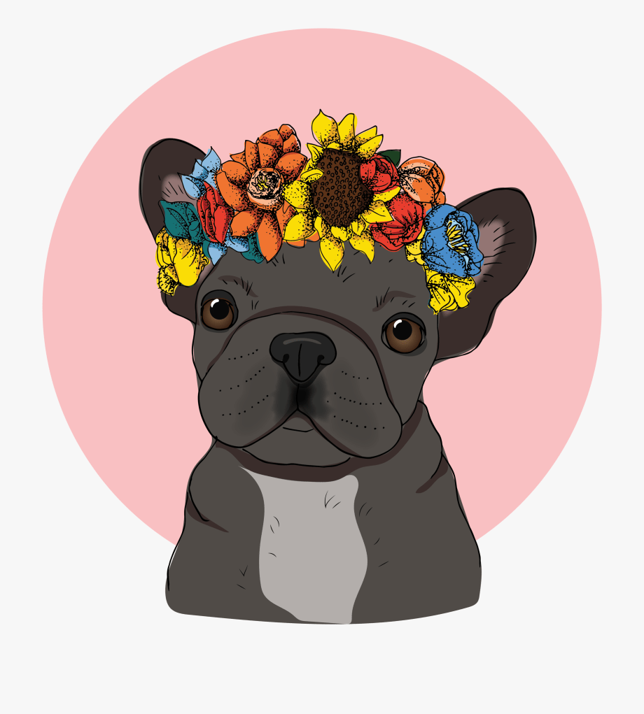 920x1021 Frenchie Bulldog Wallpaper