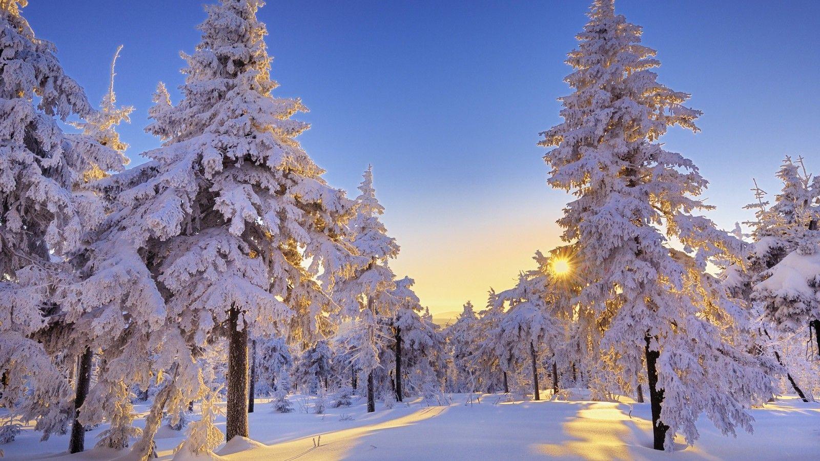 1600x900 The Problem With Winter. Winter wallpaper, Winter wonderland wallpaper, Winter picture