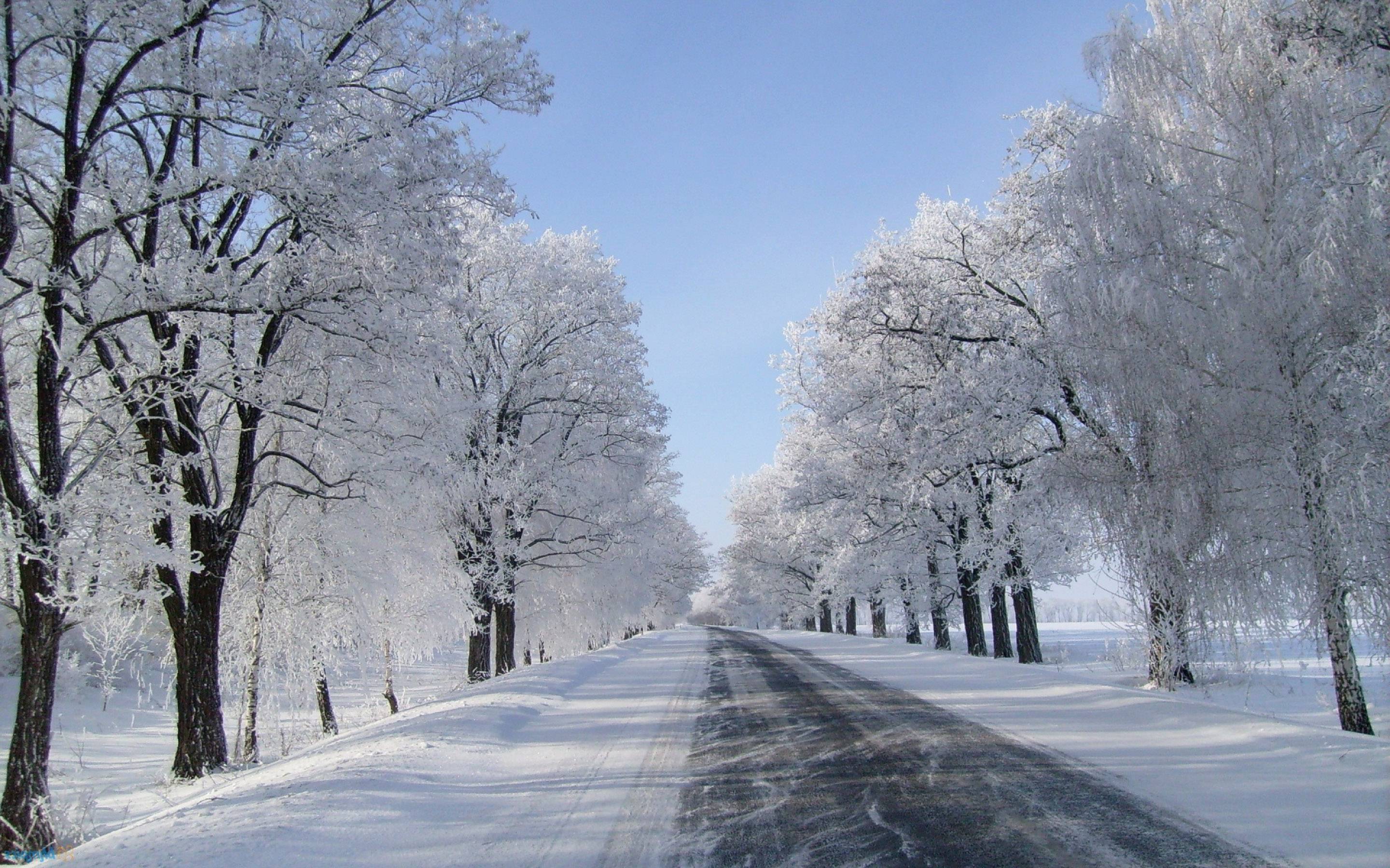 2880x1800 Winter Snow Wallpaper Background