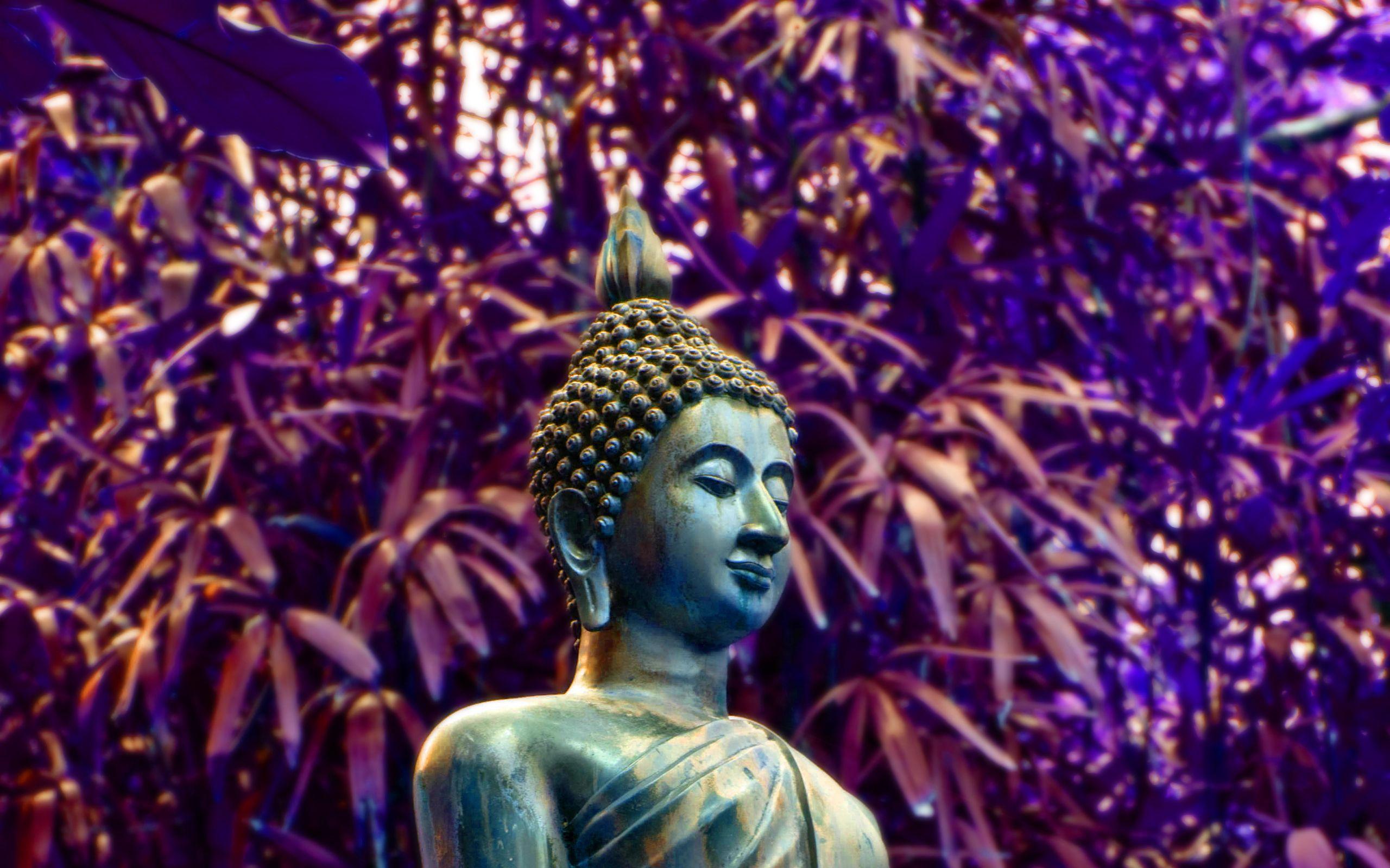 2560x1600 Buddha Statue, Lyon Arboretum, Hawaii, US HD wallpaper « HD Wallpaper