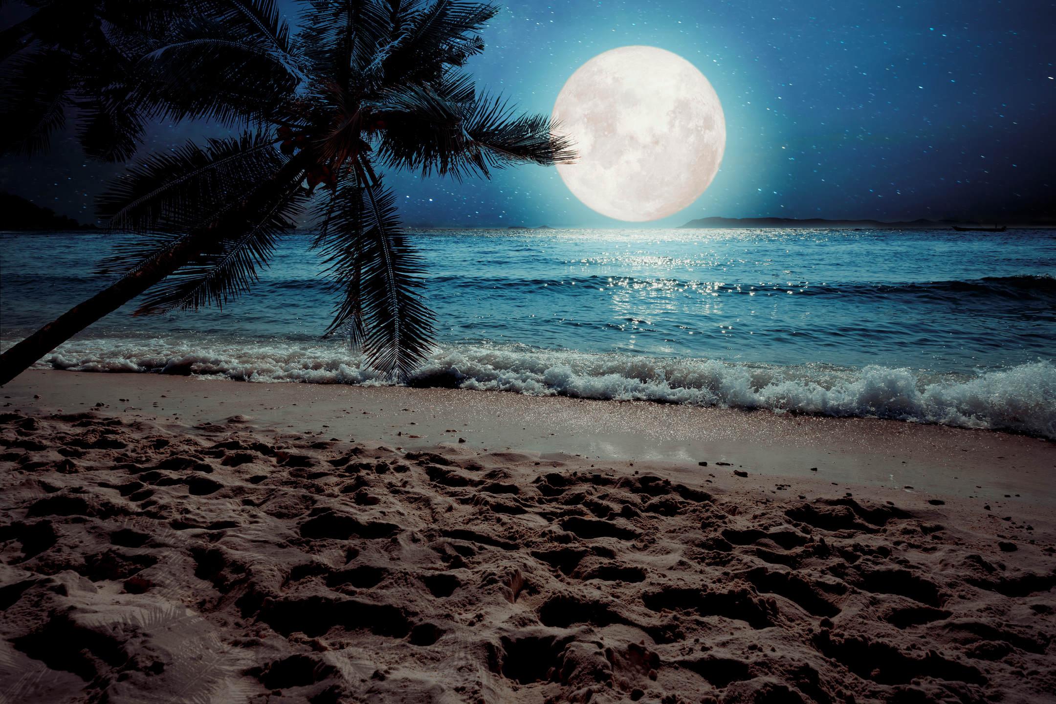 Moon Night Ocean Wallpapers Top Free Moon Night Ocean Backgrounds Images