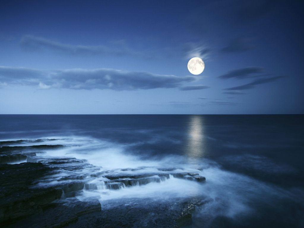 1024x768 Free download Full Moon Night Beach HD Wallpaper Background Image [1024x768] for your Desktop, Mobile & Tablet. Explore Night Beach Wallpaper. Beach Night Wallpaper, Night Beach Wallpaper, Beach At Night Wallpaper