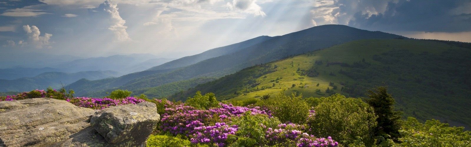 1600x500 Donation Request Form. Hotel Roanoke in Virginia's Blue Ridge