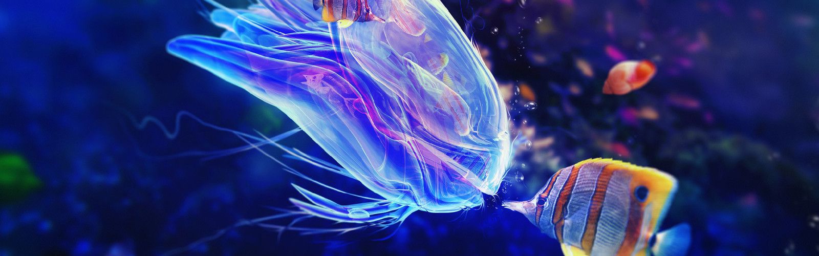 1600x500 PRODUCTS Lighting And Effects