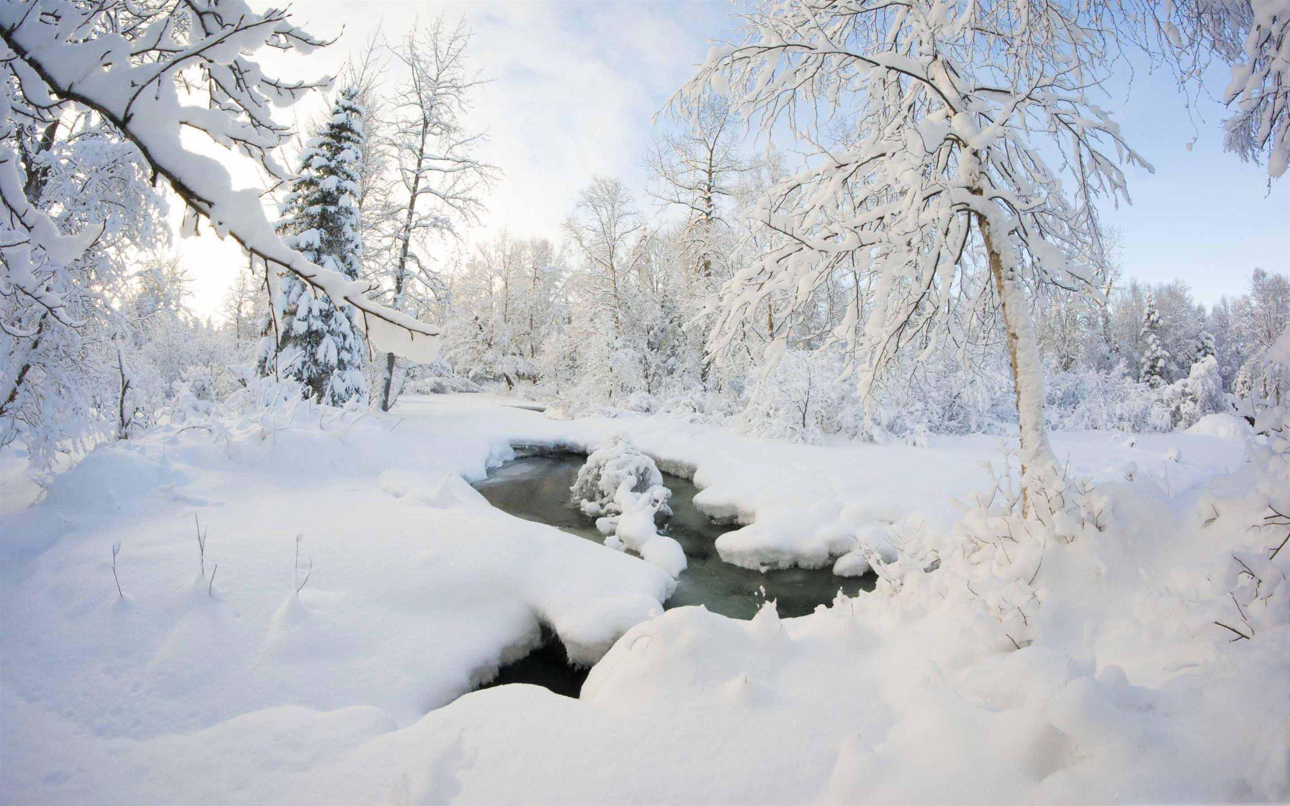 2560x1600 Winter Alaska MacBook Air Wallpaper Download