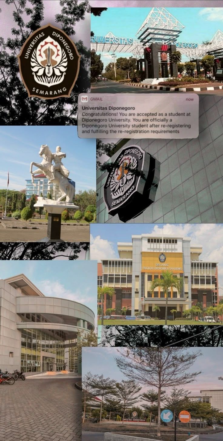 736x1452 WALLPAPER UNDIP