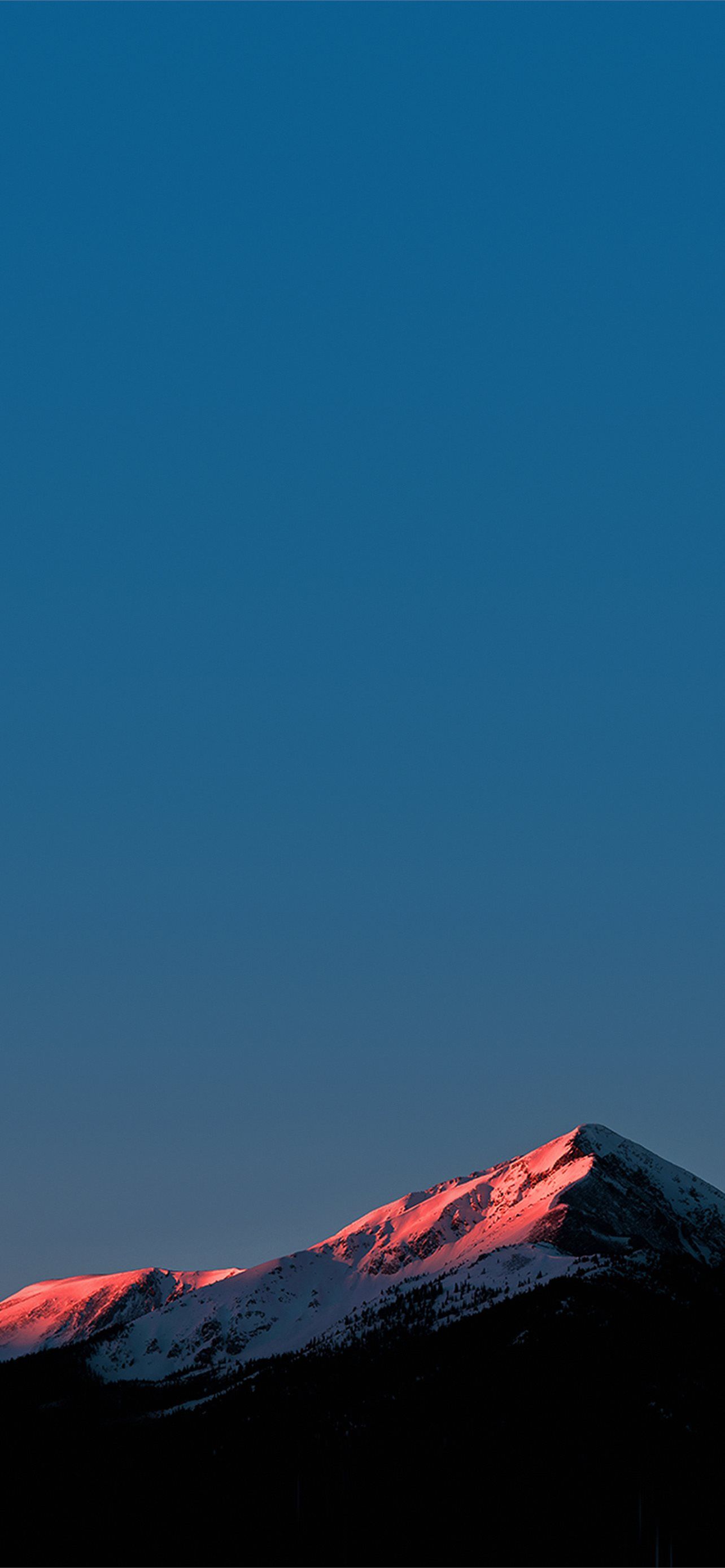 1284x2778 Pure Black Amoled