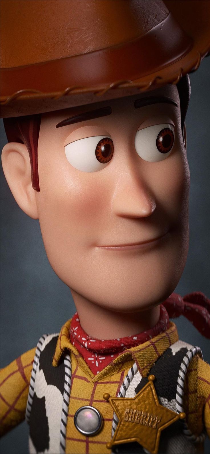 736x1593 woody toy story 4 iPhone X Wallpaper