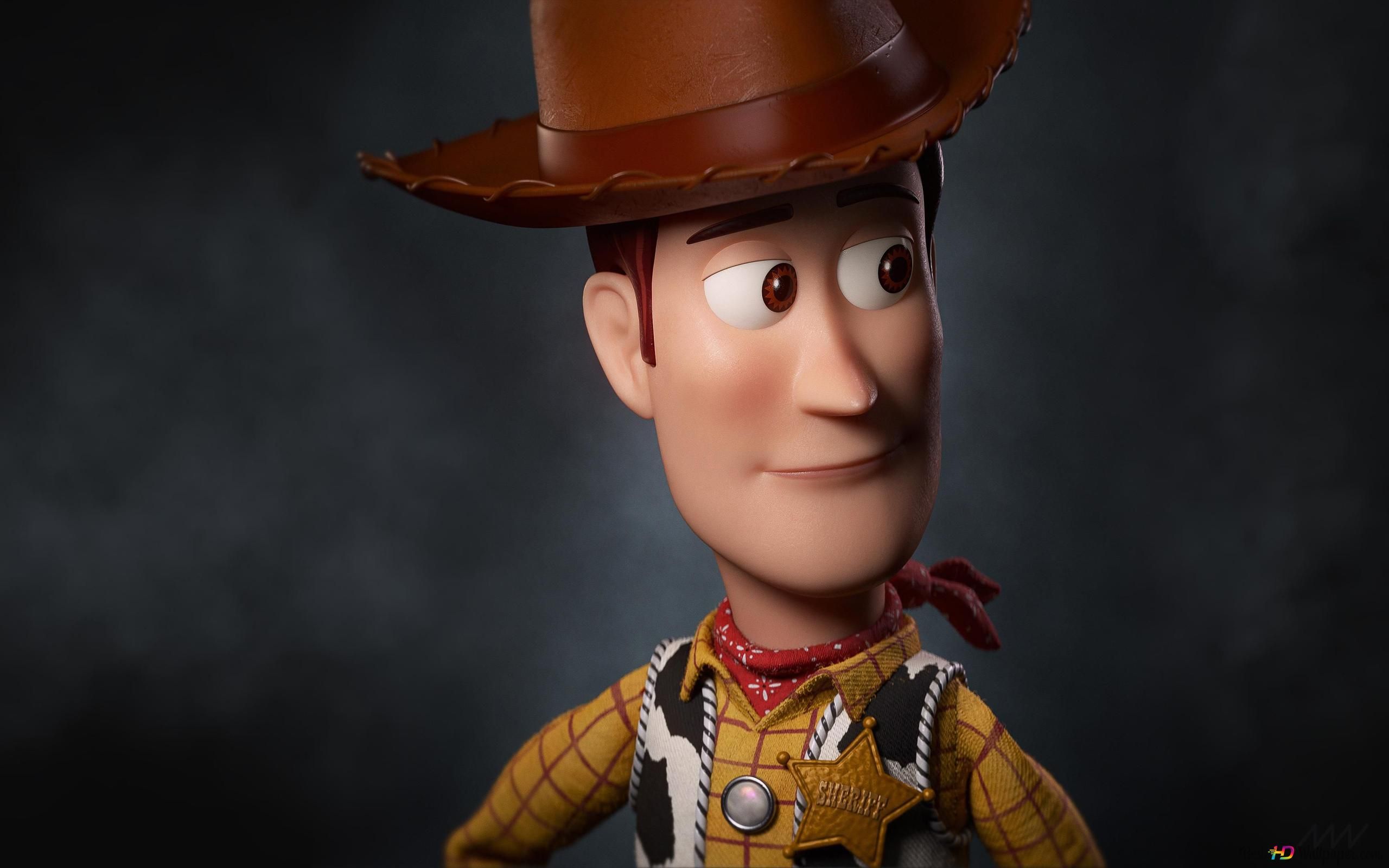 2560x1600 Woody the sheriff of the toy story animated movie 4K wallpaper download