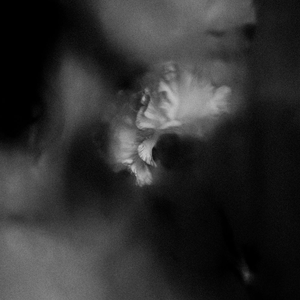 1000x1000 Holding Absence Wallpaper