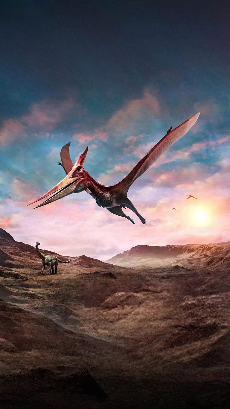 800x1422 HD pterosaur wallpaper
