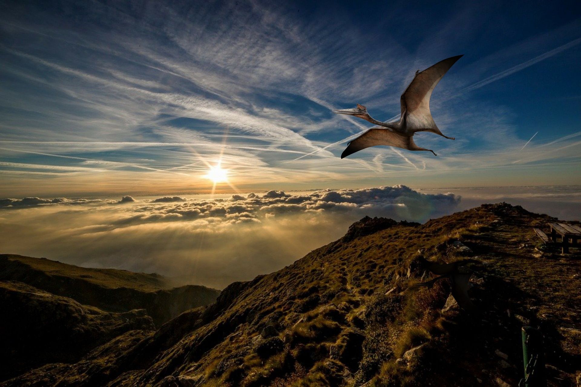 1920x1280 Download Sunset Flight Sky Pterodactyl Animal Dinosaur HD Wallpaperx1280