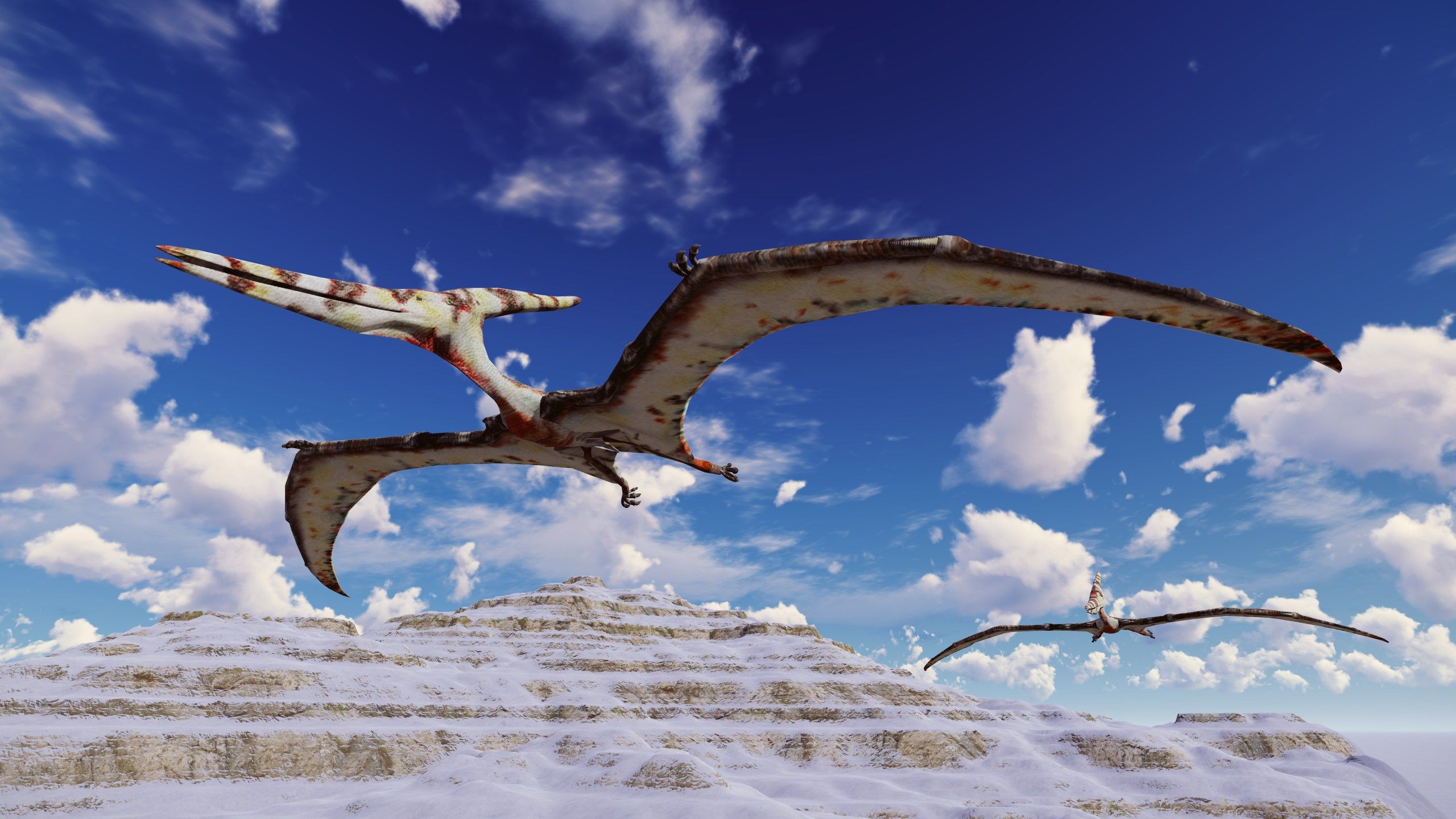 2560x1440 Was a pterosaur really spotted in the Fresno sky?. CBS47 and KSEE24. News from YourCentralValley.com, Fresno CA