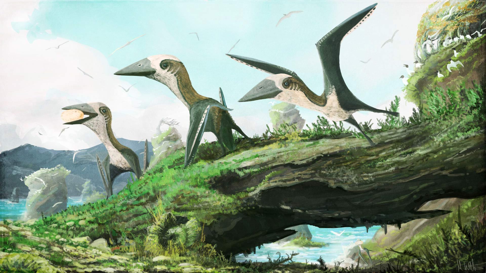 1920x1080 Fossil Of Previously Unknown Small Bodied Pterosaur Found In Canada. Paleontology. Sci