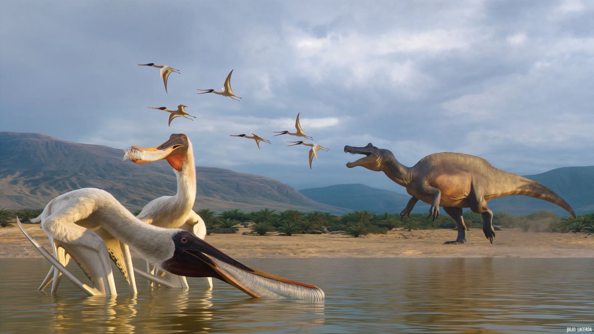 1920x1080 New Filter Feeding Pterosaur Species Discovered In Brazil