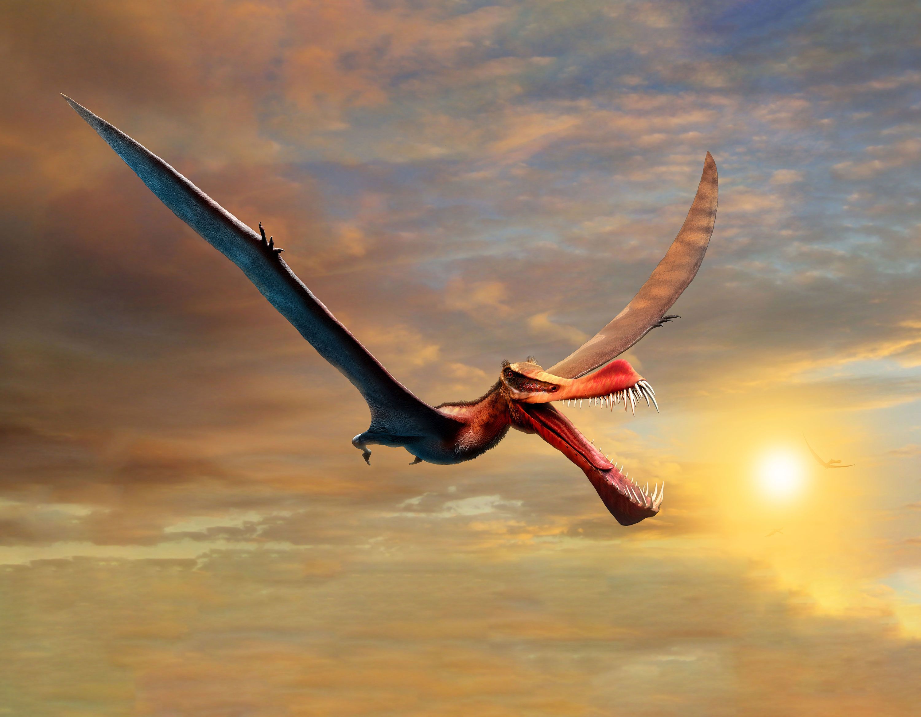 3000x2336 This terrifying 'dragon' was Australia's largest flying reptile