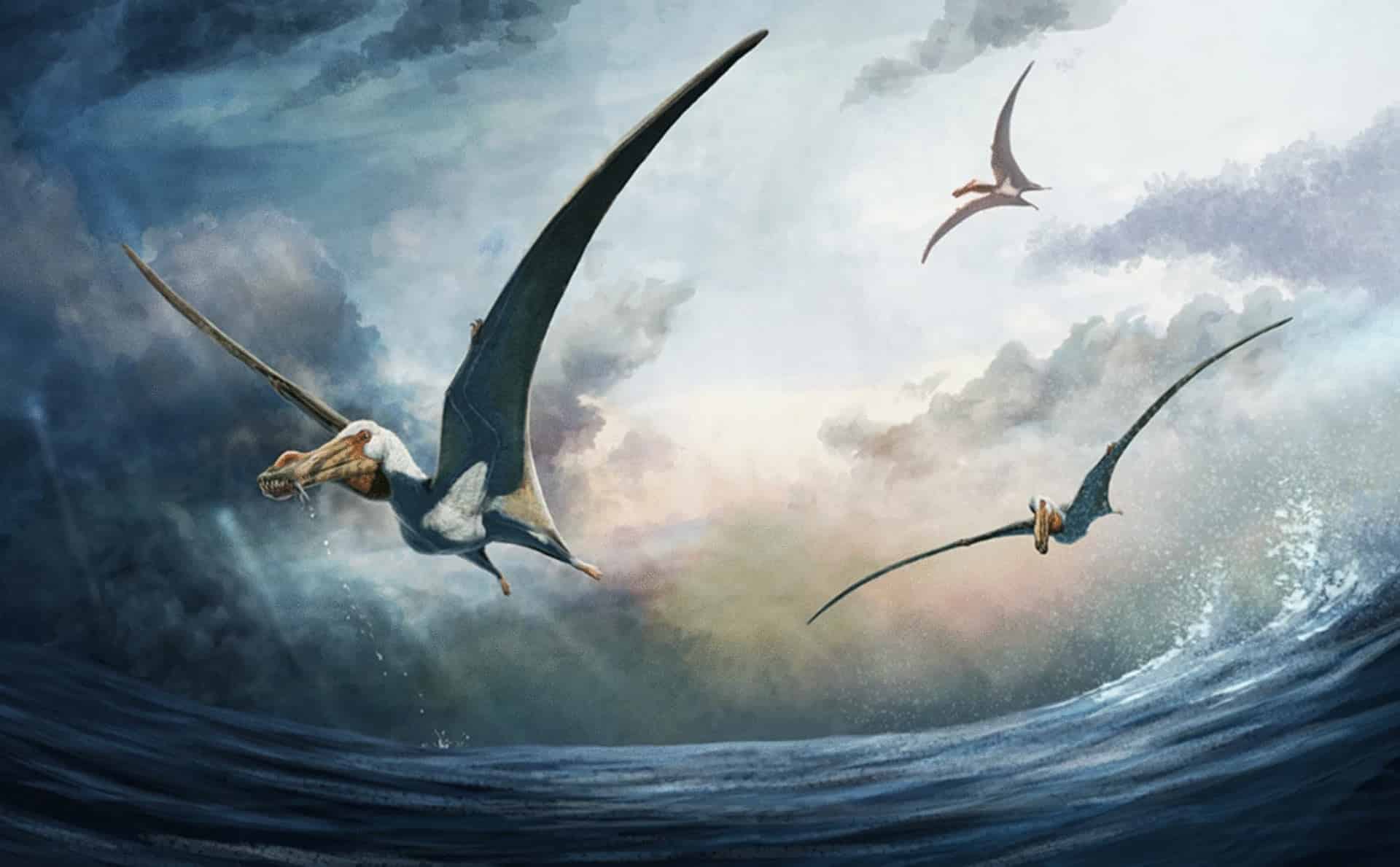 1920x1189 New pterosaur species with huge tongue discovered in Australia