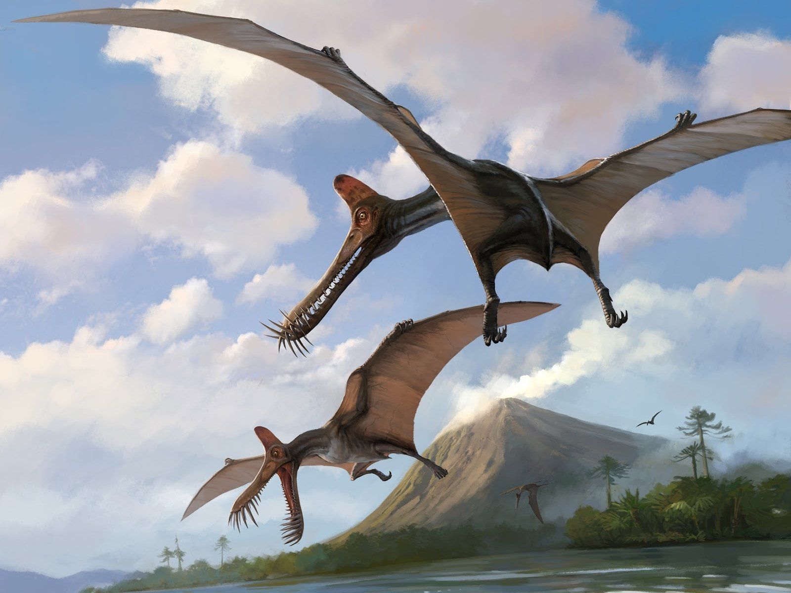 1600x1200 Majestic Pterosaurs in Flight