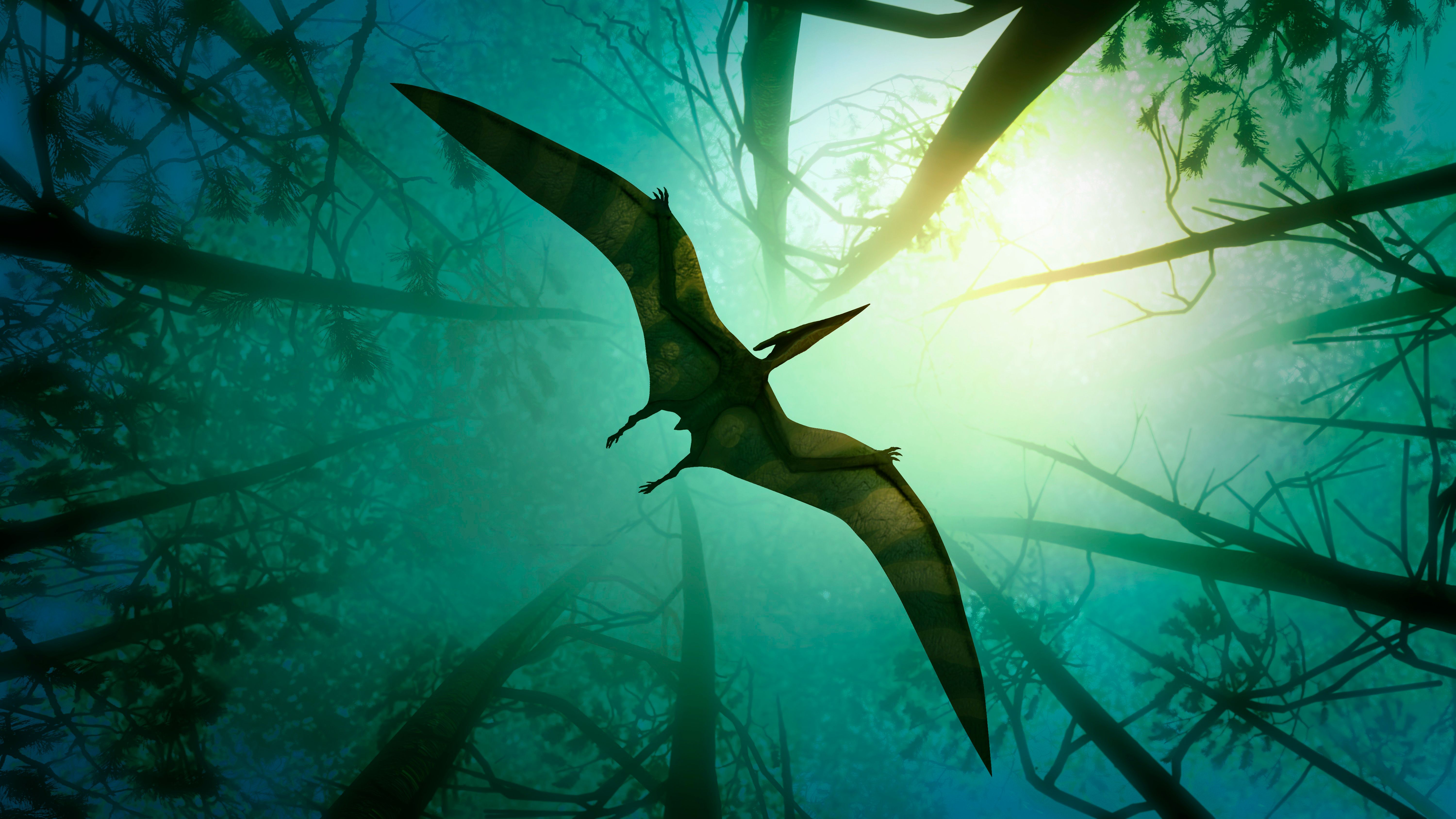 6000x3375 How did pterosaurs become giants of the sky?